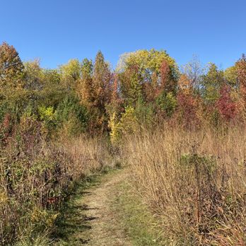 Daubenspeck Community Nature Park - Pretty fall colors off the prairie trail - Parks Near Me - Indianapolis, Indiana Daubenspeck Community Nature Park - Pretty fall colors off the prairie trail - Parks Near Me - Indianapolis, Indiana