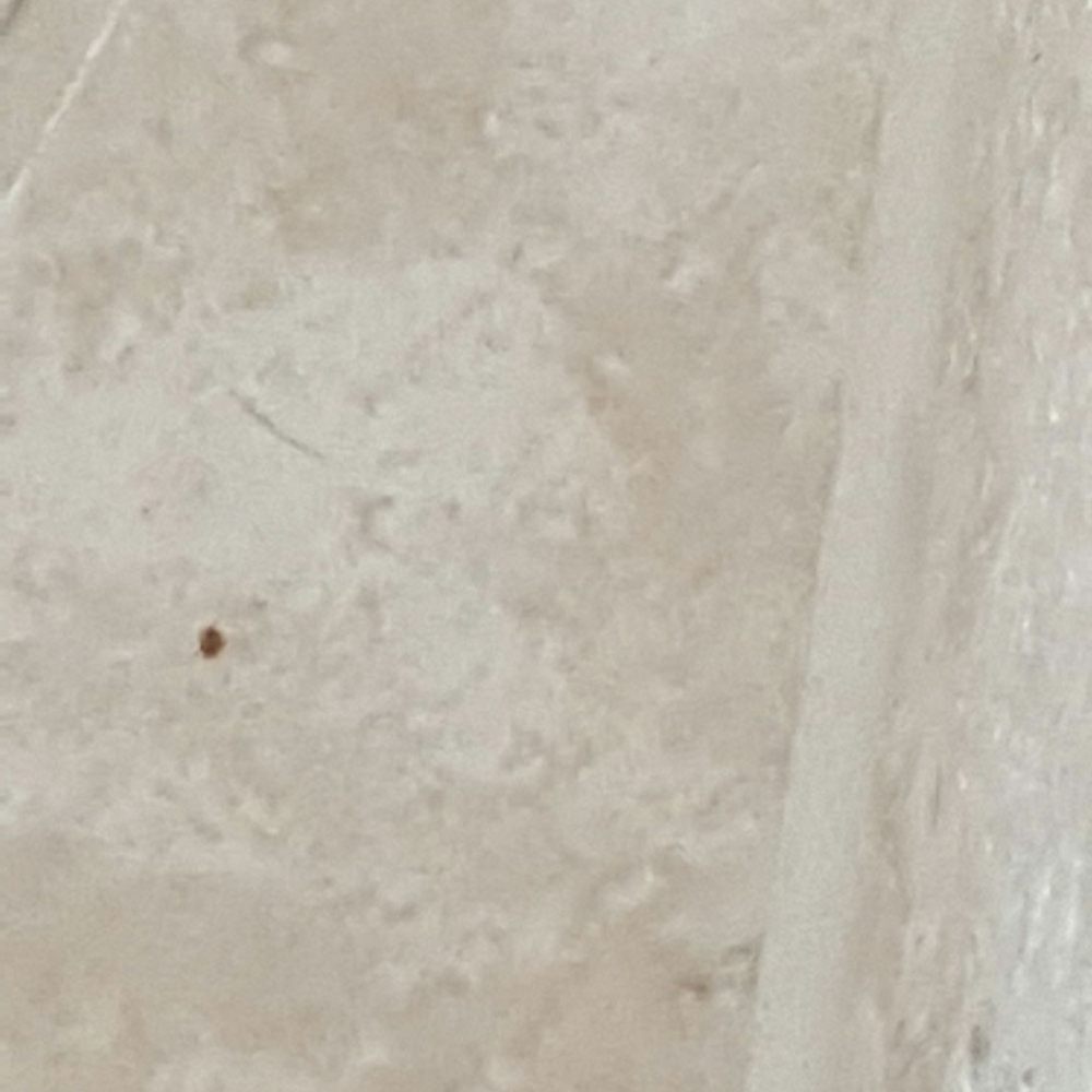 Green Team Cleaning - Dirt and debris on floors - Home Cleaning Near Me - Little Elm, Texas