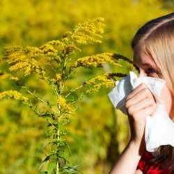 Charleston Allergy & Asthma