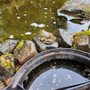 Photo of Bowman Landscaping