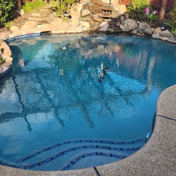 Water splash pool plastering - Completed Pool - Pool & Hot Tub Service Near Me - Lodi, California