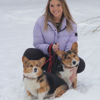 Bark Busters - Daisy and Luke - Pet Training Near Me Bark Busters - Daisy and Luke - Pet Training Near Me