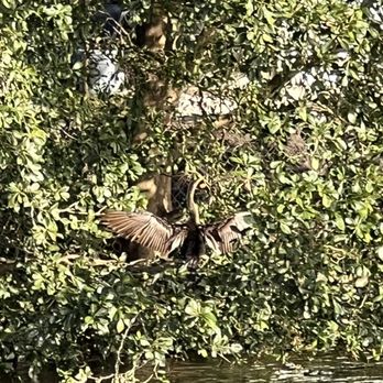 River Run Park - Parks Near Me - Miramar, Florida