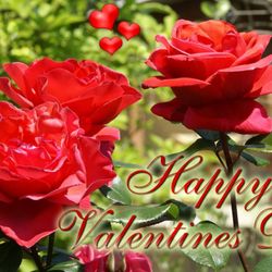 Vita Vitalis - Gutscheine zu Valentinstag