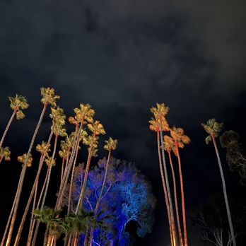 Ohana Fest - Festivals Near Me - Dana Point, California Ohana Fest - Festivals Near Me - Dana Point, California