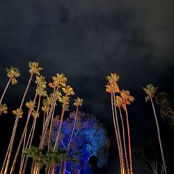 Ohana Fest