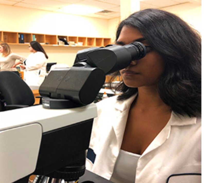 Inspek Mold Services - mold inspector in Brooklyn, NY