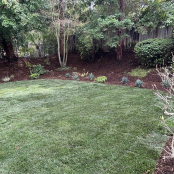 Vince's Landscaping - Landscaping Near Me - Martinez, California