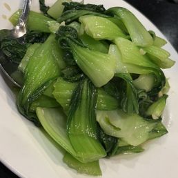 Bok Choi Bok Choi