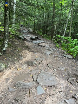 Kaaterskill Falls, Viewing Platform by null