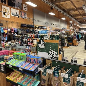 REI - Bikes Near Me - Tukwila, Washington