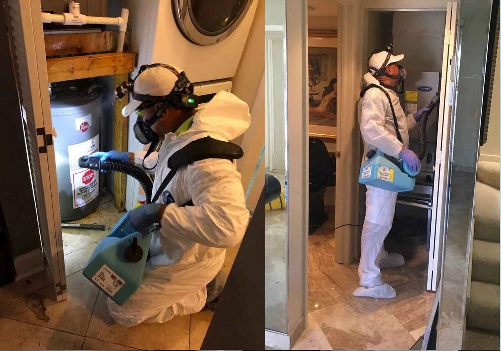 Mold Consulting Specialists - mold inspector in Bellmore, NY