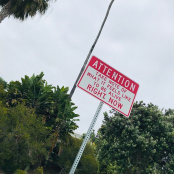 Heisler Park - 5/2019 Hope they bring these back - Parks Near Me - Laguna Beach, California Heisler Park - 5/2019 Hope they bring these back - Parks Near Me - Laguna Beach, California