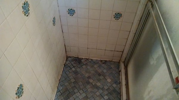 Nelson Restoration Services