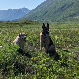 Axel and his bff Sonny.