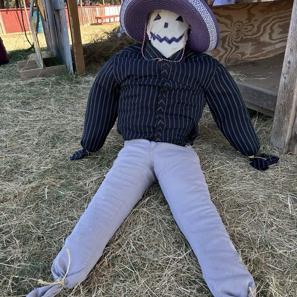 Sweet Berry Farm - Attraction Farms Near Me - Marble Falls, Texas