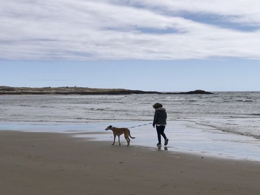 Popham Beach State Park by null