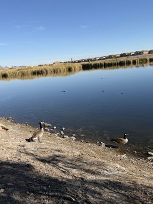 Cornerstone Park by null