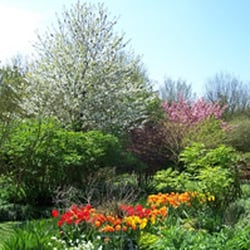 Highdown Gardens