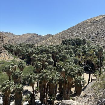 Indian Canyons - Parks Near Me - Palm Springs, California