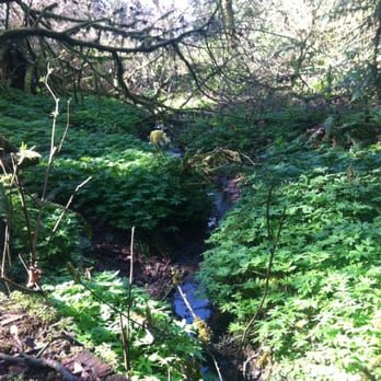 Squaxin Park - Parks Near Me - Olympia, Washington