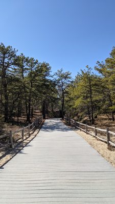 Ferry Beach State Park by null