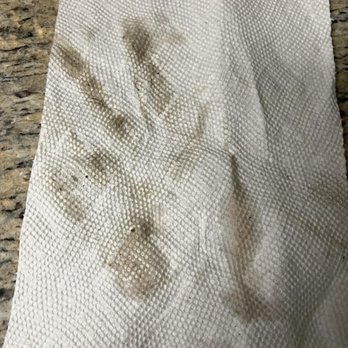 Maid Day - Small water spill cleaned up from the kitchen floor the second day after the cleaning service - Home Cleaning Near Me - Burke, Virginia Maid Day - Small water spill cleaned up from the kitchen floor the second day after the cleaning service - Home Cleaning Near Me - Burke, Virginia