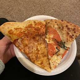 cheese and margherita pizza