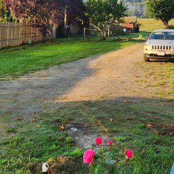 Terwer RV Park - Fence line, cleared