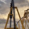 Montu gift card