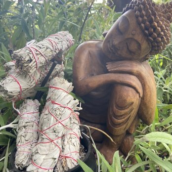 Kindred Spirits - Local White Mountain Sage - Supernatural Readings Near Me - Claremont, California