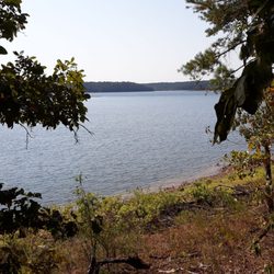 Arkansas Riding Stables