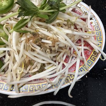 Pho 45 - Rotten bean sprouts were served - Vietnamese Near Me - Garden Grove, California Pho 45 - Rotten bean sprouts were served - Vietnamese Near Me - Garden Grove, California