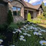 Photo of Native Design & Hardscape