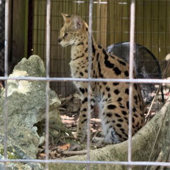 Palm Beach Zoo - Zoos Near Me - West Palm Beach, Florida