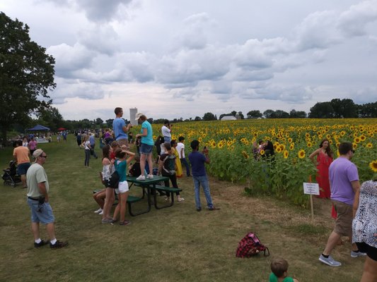 Pope Farm Conservancy by null