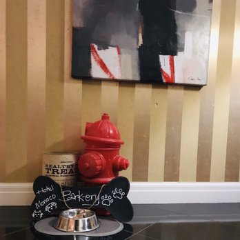 Kimpton Hotel Monaco Baltimore Inner Harbor - A little treat for our four legged friends - Hotels Near Me - Baltimore, Maryland