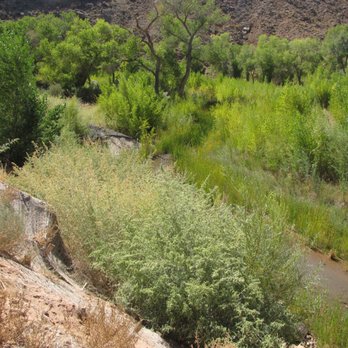 Anasazi Valley Trail - The river. - Hiking Near Me - Ivins, Utah Anasazi Valley Trail - The river. - Hiking Near Me - Ivins, Utah