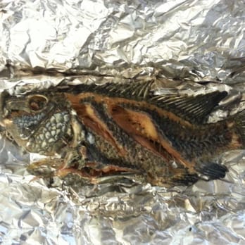 99 Ranch Market - Live Tilapia (then fried) - Seafood Markets Near Me - Mountain View, California 99 Ranch Market - Live Tilapia (then fried) - Seafood Markets Near Me - Mountain View, California