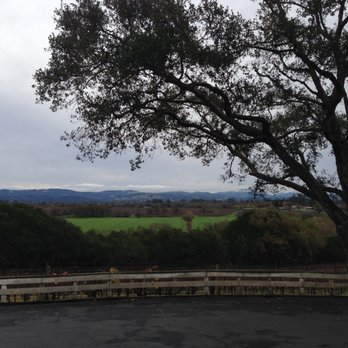 Woodenhead Wines - The view from the parking lot at Woodenhead Wines in Santa Rosa. - Wineries Near Me - Santa Rosa, California