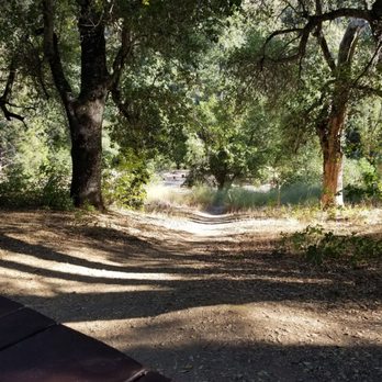 Ponderosa Campground - Downhill view from campsite 15, loved the privacy and bathroom below too. - Hiking Near Me - Big Sur, California Ponderosa Campground - Downhill view from campsite 15, loved the privacy and bathroom below too. - Hiking Near Me - Big Sur, California