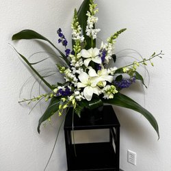 Dr. Wen Wu Acupuncture & Herbs
