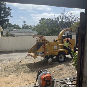 Angel Tree Care - The team was able to immediately mulch the tree. - Tree Services Near Me