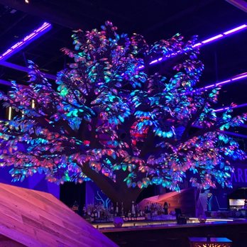 AREA15 - Cool tree that changes color - Venues & Event Spaces Near Me - Las Vegas, Nevada