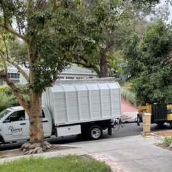 Lopez Tree Service
