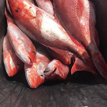 Hudson Marina - Fishing Near Me - Orange Beach, Alabama