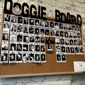 Blank Street Coffee - dogie board with photos of dogs - Coffee & Tea Near Me - New York, New York Blank Street Coffee - dogie board with photos of dogs - Coffee & Tea Near Me - New York, New York
