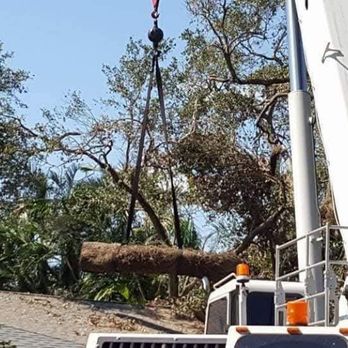 All Around Tree Specialist - Tree Services Near Me - Punta Gorda, Florida All Around Tree Specialist - Tree Services Near Me - Punta Gorda, Florida