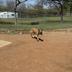 Granbury Bark Park - My Malinios Krypto.