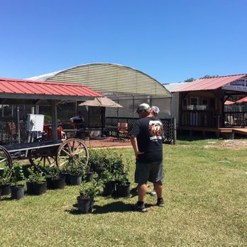 Yalaha Bootlegging - Owner helping us pick out blueberry bushes to take home. - Distilleries Near Me - Yalaha, Florida